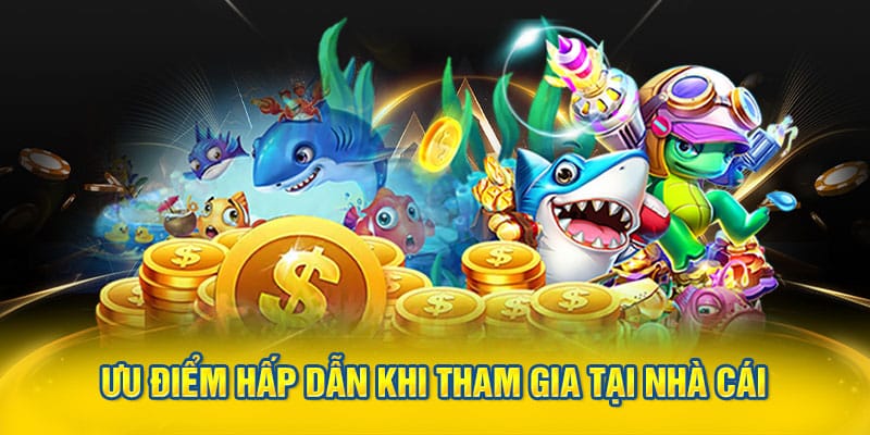 Ưu điểm hấp dẫn khi tham gia tại nhà cái